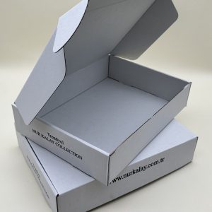 Versandschachtel, Maxibriefkartons (weiß)